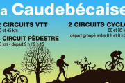 Lacaudebecaise