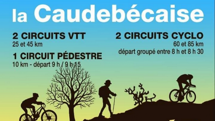 Lacaudebecaise